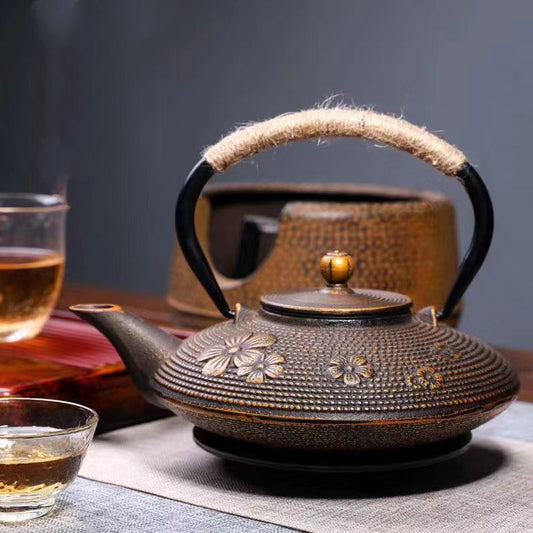 The Kaiteki Japanese Style Cast Iron Teapot