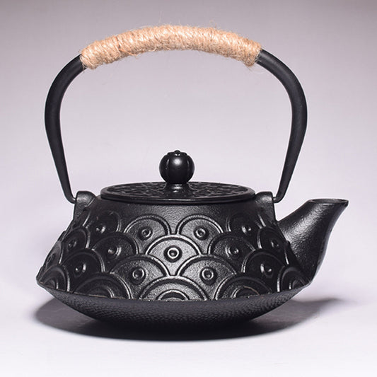 The Mizu Japanese Style Cast Iron Teapot