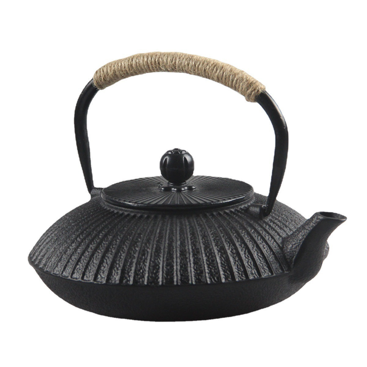 The Kaigara Japanese Style Cast Iron Teapot