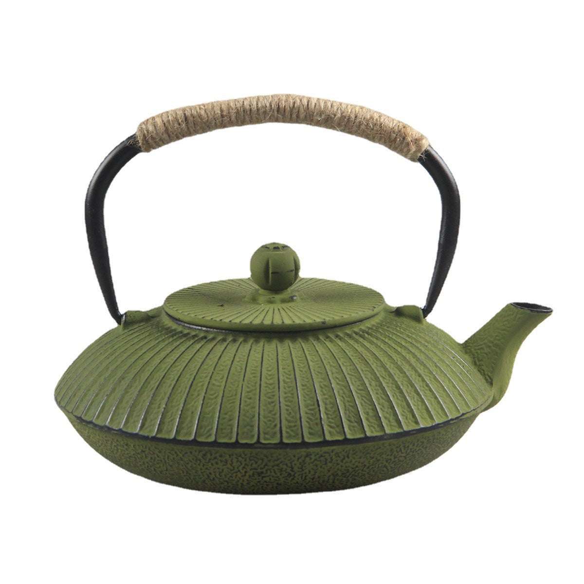 The Kaigara Japanese Style Cast Iron Teapot